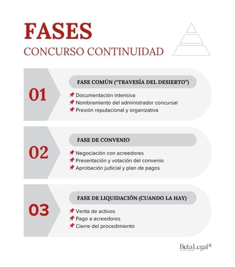Fases del concurso de proveedores