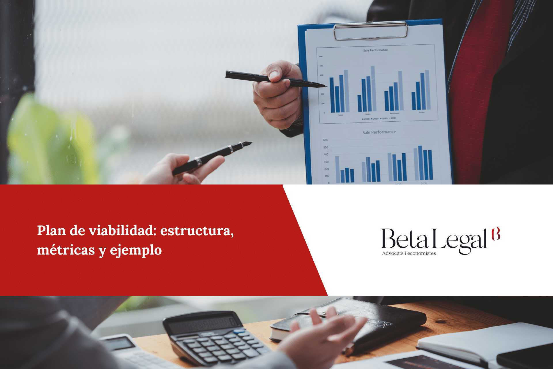 Plan de viabilidad